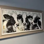 別荘 Dairy *