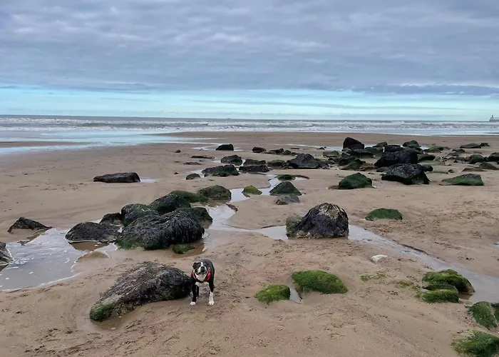 Tatil Evi Dairy Whitby