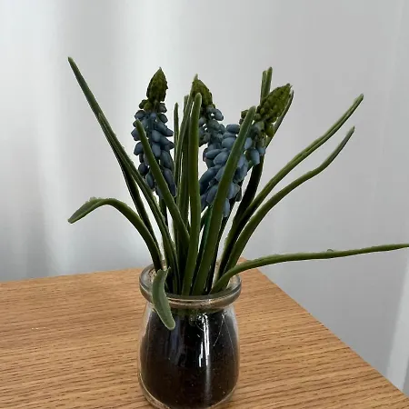 Dairy بيت للعطل