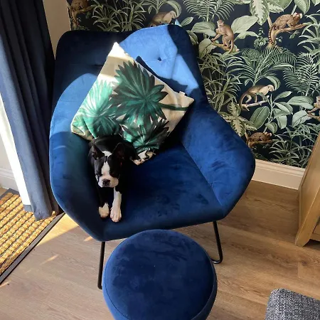 Dairy بيت للعطل *